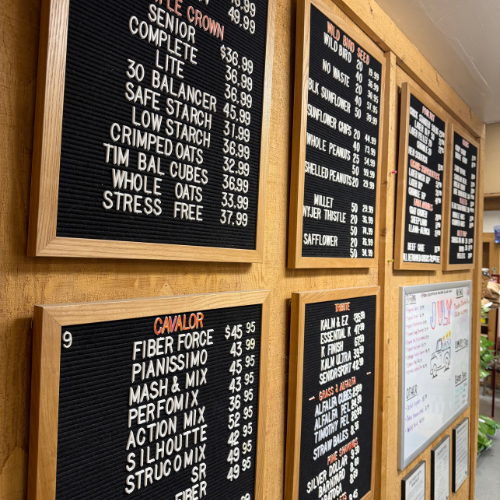 Wooden wall displays black letter boards listing grooming products and prices, including shampoos, conditioners, and Cavalor supplements, in a cozy shop.
