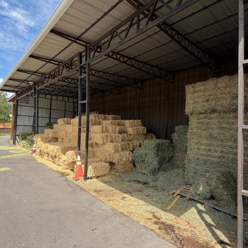 Open-sided metal hay barn filled with stacked golden and green hay bales, viewed in bright sunlight under a clear blue sky.