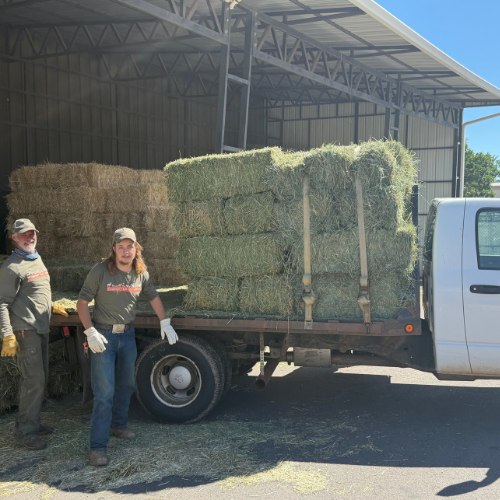 Two workers stand beside a flatbed truck loaded with hay bales outside a large metal barn on a bright sunny day, conveying teamwork.
