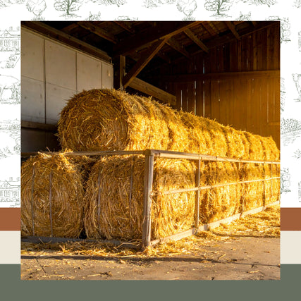 Hay & ShavingsSunlit hay bales stacked neatly in a rustic barn, surrounded by wooden beams, conveying a warm and peaceful rural atmosphere.