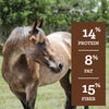 Nutrena® SafeChoice® All Life Stages