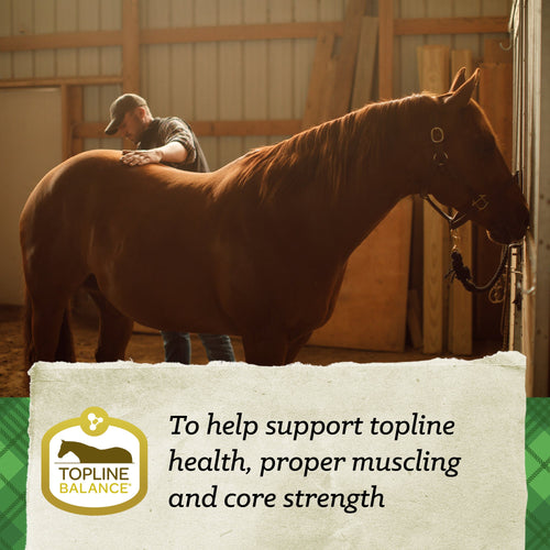 Nutrena® SafeChoice® All Life Stages