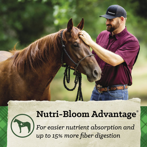Nutrena® SafeChoice® All Life Stages