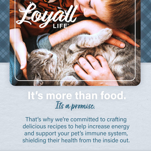 Nutrena® Loyall Life® Cat & Kitten Salmon & Ocean Fish Meal Recipe