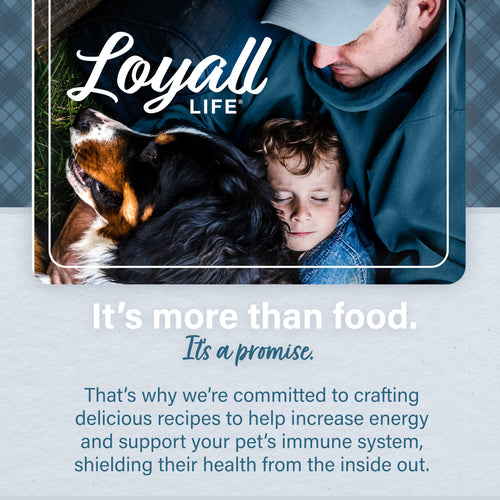 Nutrena® Loyall Life® Beef & Barley Recipe Adult Dog Food