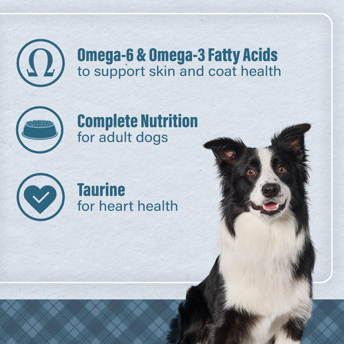 Nutrena® Loyall Life® Beef & Barley Recipe Adult Dog Food