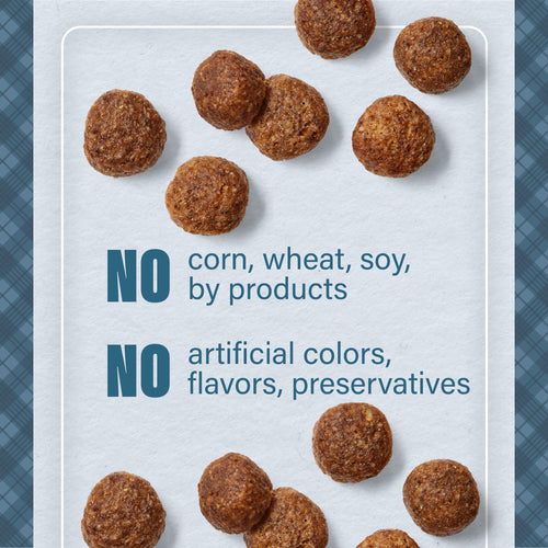 Nutrena® Loyall Life® Beef & Barley Recipe Adult Dog Food