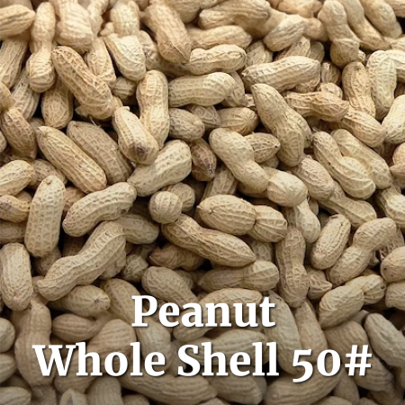Peanut Whole Shell 50#